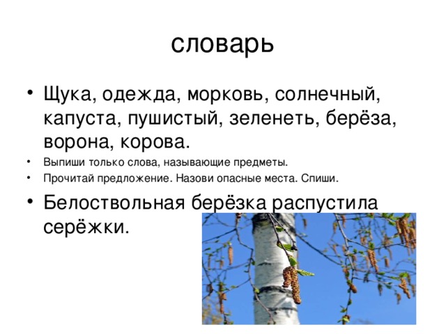 Выпиши только слова, называющие предметы. Прочитай предложение. Назови опасные места. Спиши. 