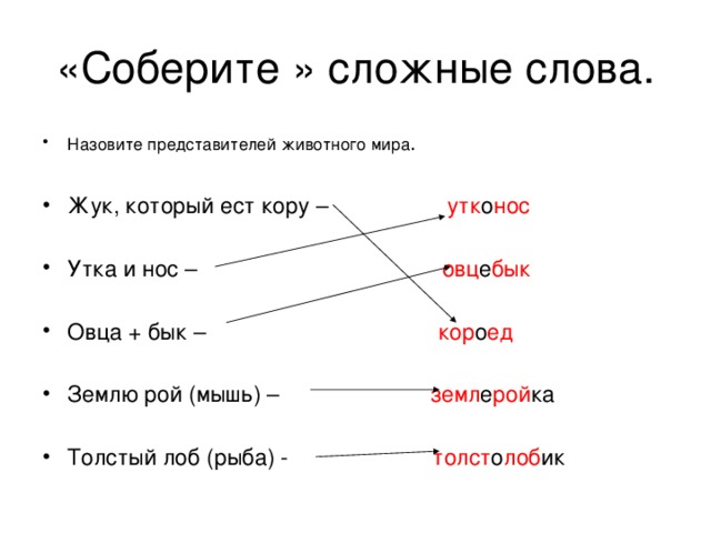 Назовите представителей животного мира .  Жук, который ест кору – утк о нос  Утка и нос – овц е бык  Овца + бык – кор о ед  Землю рой (мышь) – земл е рой ка  Толстый лоб (рыба) - толст о лоб ик 