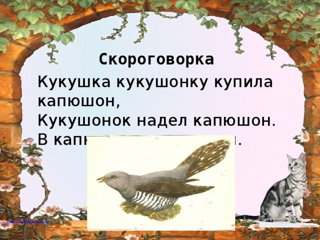 Рисунок кукушка в капюшоне