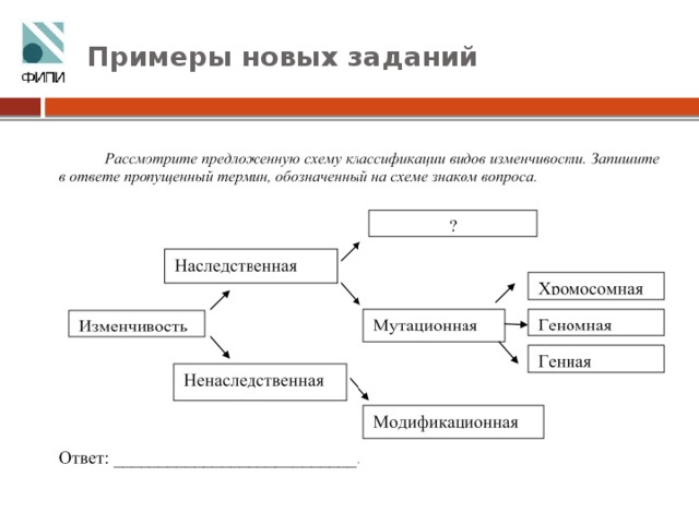 Рассмотрите предложенную схему. Схема классификации видов изменчивости. Рассмотрите предложенную схему классификации видов изменчивости. Табличка формы изменчивости. 1.Рассмотрите предложенную схему классификации видов изменчивости.