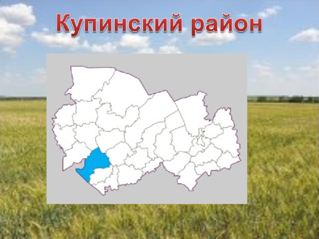 Карта новосибирской области купинского района новосибирской области