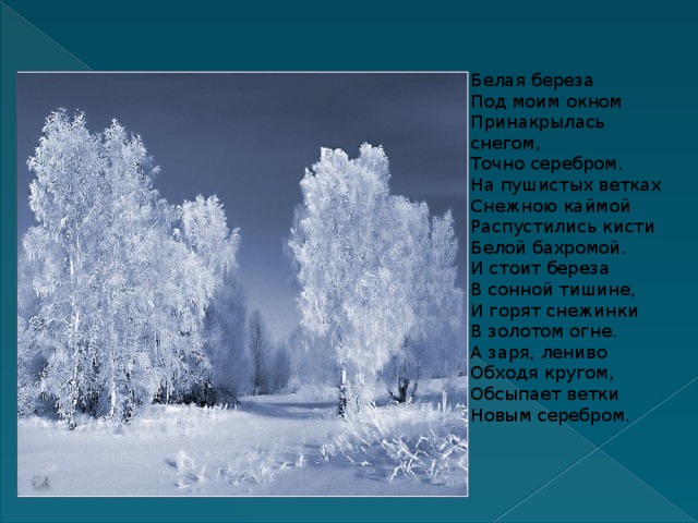 Каймой ветках распустились белой кисти. На пушистых ветках снежною. Береза под моим окном. Принакрылась снегом точно серебром. На пушистых ветках снежною каймой распустились кисти белой бахромой.