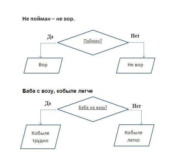 Блок схема если белка строит гнездо низко к морозной зиме если высоко к теплой