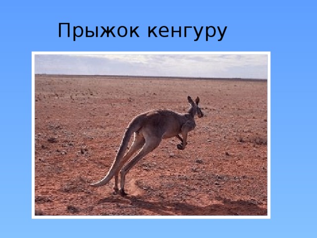 Прыжок кенгуру 