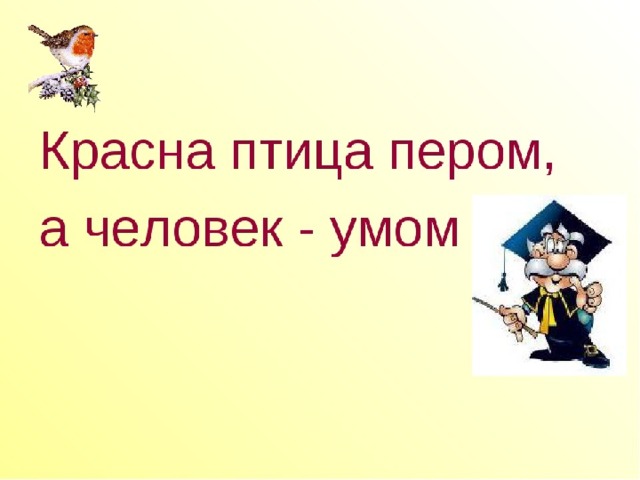 Ум без книги как птица без крыльев рисунок к пословице