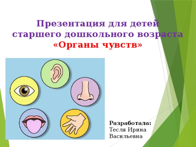 Презентация органы чувств для дошкольников