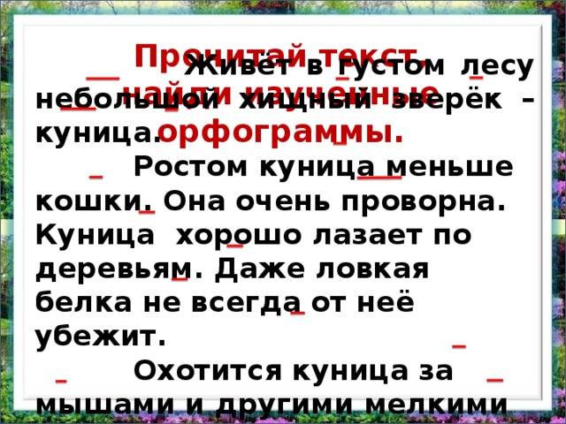 Прочитай текст, найди изученные орфограммы.  Живёт в густом лесу небольшой хищный зверёк – куница.  Ростом куница меньше кошки. Она очень проворна. Куница хорошо лазает по деревьям. Даже ловкая белка не всегда от неё убежит.  Охотится куница за мышами и другими мелкими зверушками.  А наступит лето, поспеют в лесу ягоды – куница и ими будет лакомиться.  