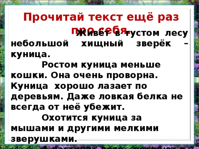 Прочитай текст ещё раз про себя.  Живёт в густом лесу небольшой хищный зверёк – куница.  Ростом куница меньше кошки. Она очень проворна. Куница хорошо лазает по деревьям. Даже ловкая белка не всегда от неё убежит.  Охотится куница за мышами и другими мелкими зверушками.  А наступит лето, поспеют в лесу ягоды – куница и ими будет лакомиться.  