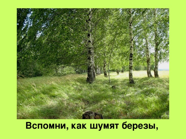 Шумите березы на белорусском