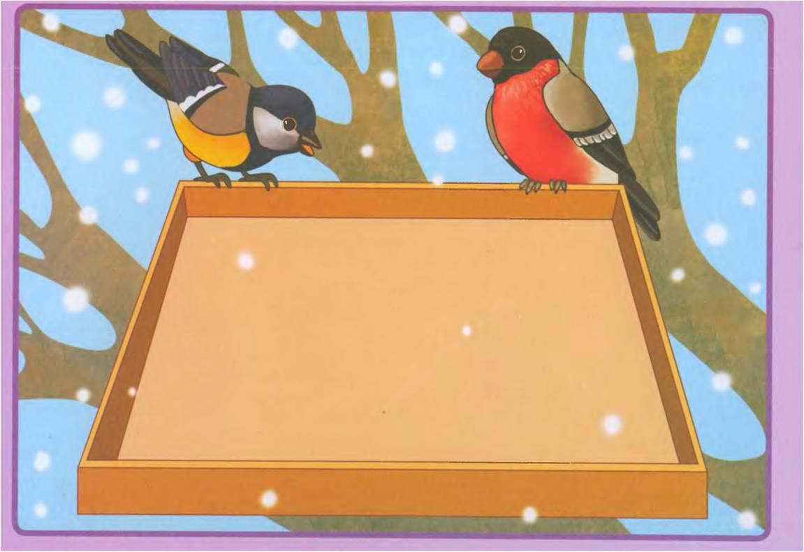 покормите птиц зимой картинки