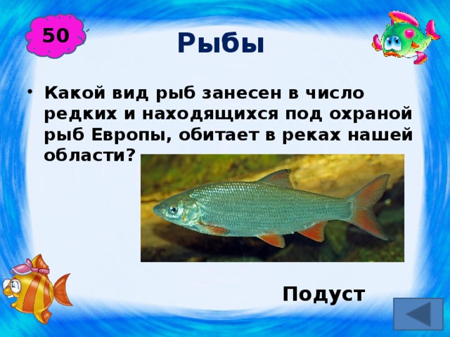 Рыбы  50 Какой вид рыб занесен в число редких и находящихся под охраной рыб Европы, обитает в реках нашей области?  Подуст 