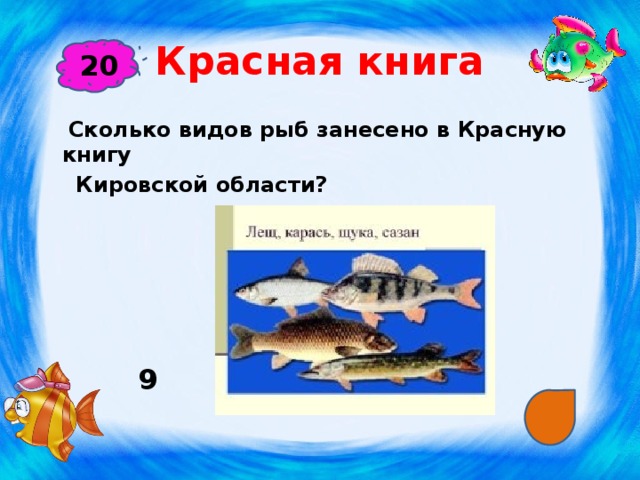 Красная книга 20  Сколько видов рыб занесено в Красную книгу  Кировской области?  9 