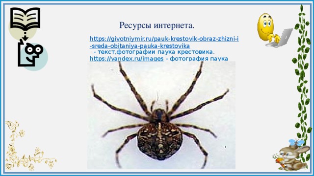 Какой тип развития характерен для паука крестовика изображенного на рисунке 1