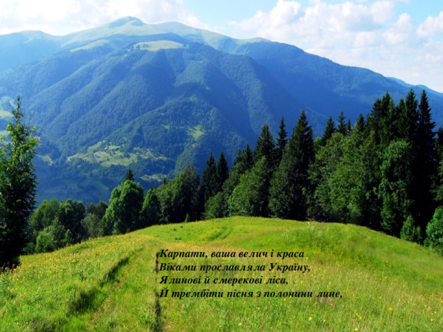   Карпати, ваша велич і краса   Віками прославляла Україну,   Ялинові й смерекові ліса,   Й трембіти пісня з полонини лине,   