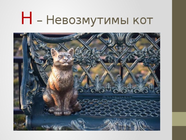 Н – Невозмутимы кот 