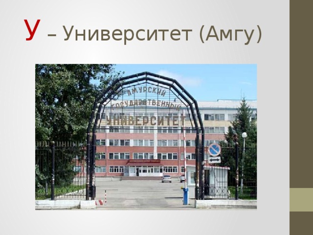 У – Университет (Амгу) 