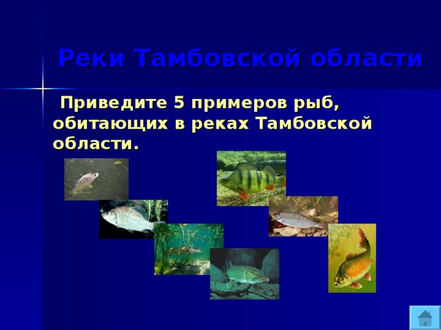  Реки Тамбовской области  Приведите 5 примеров рыб, обитающих в реках Тамбовской области. 