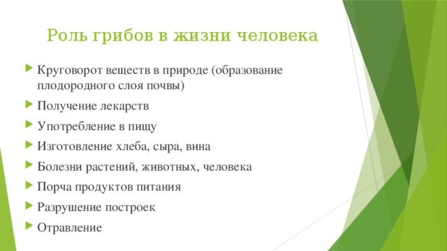 Роль грибов в жизни человека Круговорот веществ в природе (образование плодородного слоя почвы) Получение лекарств Употребление в пищу Изготовление хлеба, сыра, вина Болезни растений, животных, человека Порча продуктов питания Разрушение построек Отравление 