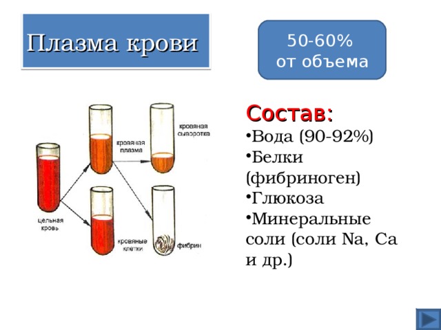 Плазма крови 50-60% от объема Состав: Вода (90-92%) Белки (фибриноген) Глюкоза Минеральные соли (соли Na , Са и др.) 