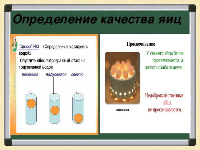 Качество яиц. Оценка качества яиц куриных. Способы определения качества яиц. Методы оценки качества яиц. Определение качества яйца куриного.