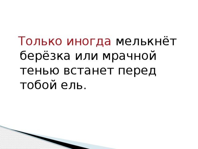 Только иногда мелькнёт берёзка или мрачной тенью встанет перед тобой ель.