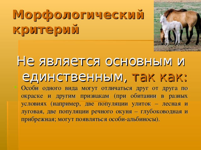 Морфологический критерий Не является основным и единственным,  так как: Особи одного вида могут отличаться друг от друга по окраске и другим признакам (при обитании в разных условиях (например, две популяции улиток – лесная и луговая, две популяции речного окуня – глубоководная и прибрежная; могут появляться особи-альбиносы). 