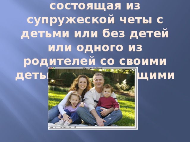Нуклеарная семья- простая семья, состоящая из супружеской четы с детьми или без детей или одного из родителей со своими детьми, не состоящими в браке. 