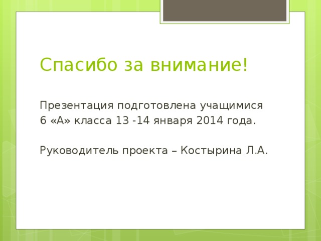 Спасибо за внимание! Презентация подготовлена учащимися 6 «А» класса 13 -14 января 2014 года. Руководитель проекта – Костырина Л.А. 