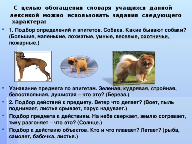 Эпитеты в песнь о собаке. Задания на обогащение словаря школьников. Допустим про собак. Какая бывает собака по характеру эпитеты.