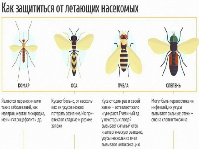 Карта вызова аллергическая реакция на укус насекомых