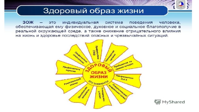 Диаграмма на тему здоровый образ жизни