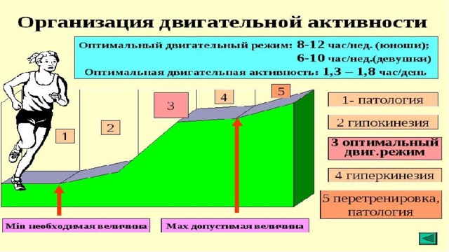 Виды двигательной активности