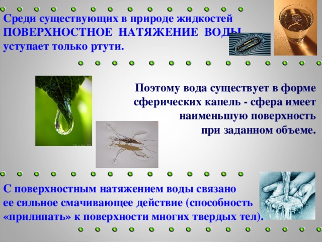 Среди существующих. Поверхностное натяжение воды в природе. Поверхностное натяжение капли воды. Природа поверхностного натяжения жидкости. Поверхностное натяжение воды и ртути.