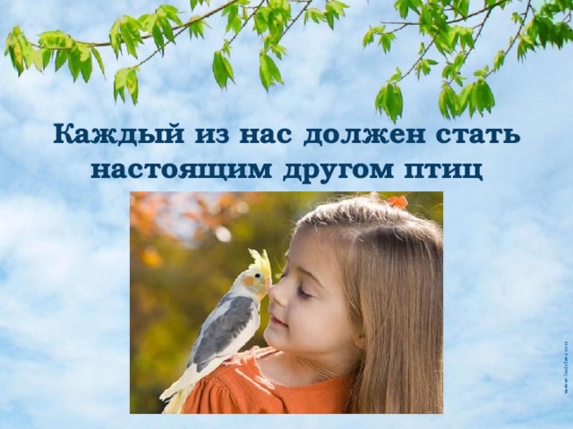 Каждый из нас должен стать настоящим другом птиц 