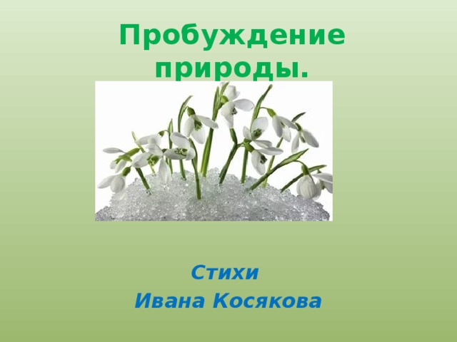 Презентация 1 класс весна пробуждение природы презентация