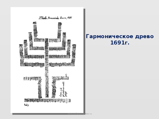 Гармоническое древо 1691г. www.pedagogsaratov.ru 