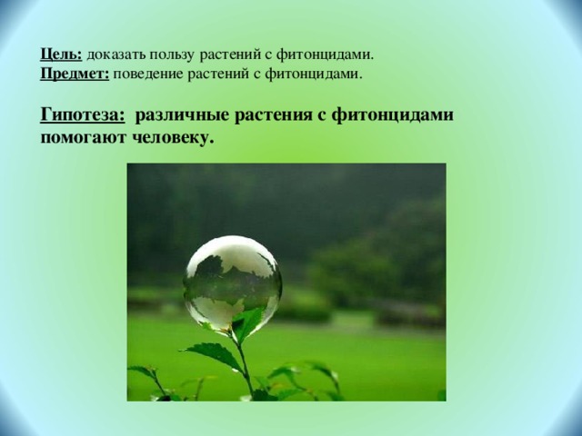 Цель: доказать пользу растений с фитонцидами. Предмет: поведение растений с фитонцидами. Гипотеза: различные растения с фитонцидами помогают человеку. 