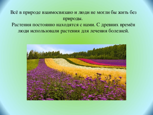 В природе все взаимосвязано. Рассказ на тему в природе все взаимосвязано. Доклад на тему в природе все взаимосвязано. Доклад 3 класс в природе все взаимосвязано.