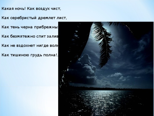   Какая ночь! Как воздух чист,   Как серебристый дремлет лист,   Как тень черна прибрежных ив,   Как безмятежно спит залив,   Как не вздохнет нигде волна,   Как тишиною грудь полна!..  Фет 