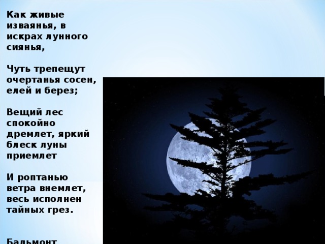 Как живые изваянья, в искрах лунного сиянья,   Чуть трепещут очертанья сосен, елей и берез;   Вещий лес спокойно дремлет, яркий блеск луны приемлет   И роптанью ветра внемлет, весь исполнен тайных грез.   Бальмонт  