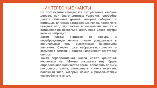  ИНТЕРЕСНЫЕ ФАКТЫ На протяжении семидесяти лет растение хлебное дерево, при благоприятных условиях, способно давать обильный урожай, который собирают с помощью длинных раздвоенных палок, после чего каждый плод протыкают в нескольких местах и оставляют на несколько дней, пока масса внутри него не забродит. Затем плоды очищают от кожуры и перебродившую мякоть плотно укладывают в специальные ямы, выстланные банановыми листьями. Сверху тоже набрасывают листья и засыпают землёй. Процесс напоминает заготовку силоса. Такая перебродившая масса может храниться несколько лет. Можно открывать яму, брать определённое количество теста, добавлять воды и кокосового масла, замешивать и печь вкусный, полезный хлеб, который можно с удовольствием употреблять в пищу. 