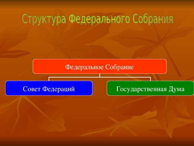 Федеральное Собрание Совет Федераций Государственная Дума 12 