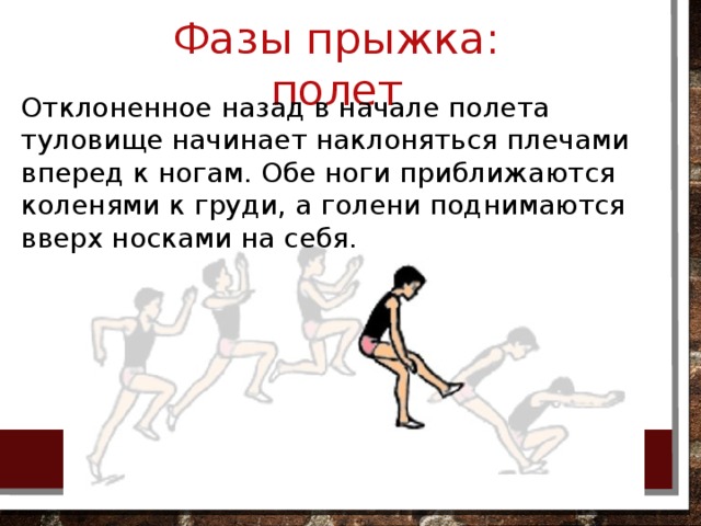 Фазы прыжка. Фазы прыжка вверх. Фаза полета в прыжке. Фазы полета это в физкультуре. Фаза полета в прыжках в высоту.