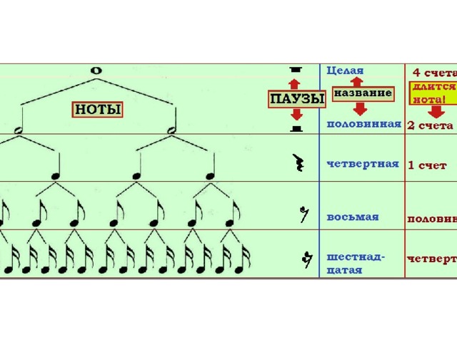 Замена нотам. Длительности нот и пауз. Схема длительности нот. Основные длительности нот и пауз. Схема длительностей нот и пауз.