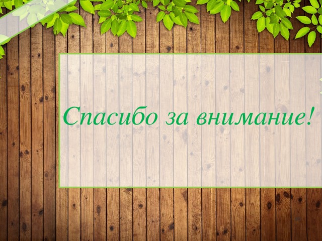 Спасибо за внимание!   