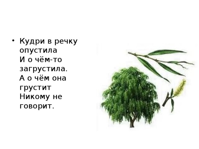 Кудри в речку опустила и о чем-то загрустила о чем она грустит никому не говорить