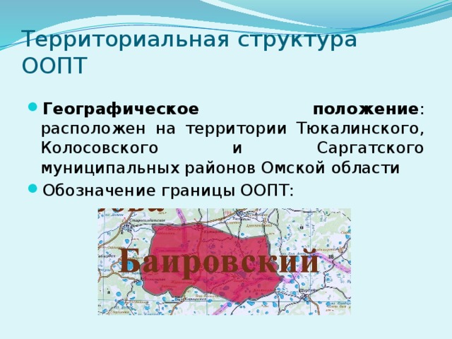 Охраняемые территории омской области. Заказники Омской области заповедники Баировский. Баировский заказник Омская область доклад. Географическое положение Омской области. Природный заказник «Баировский».