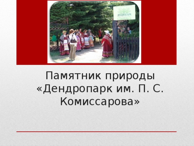 Памятник природы «Дендропарк им. П. С. Комиссарова» 