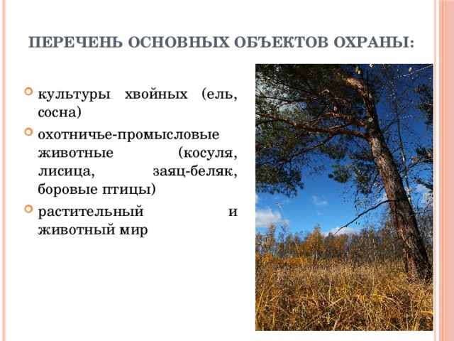 Перечень основных объектов охраны:    культуры хвойных (ель, сосна) охотничье-промысловые животные (косуля, лисица, заяц-беляк, боровые птицы) растительный и животный мир 