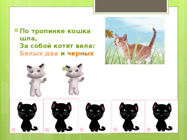 По тропинке кошка шла,  За собой котят вела:  Белых два и черных пять .  Кто успел их сосчитать? 